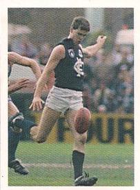 1991 Select AFL Stickers #48 Simon Verbeek Front